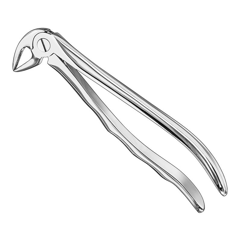 Extracting forceps, anat.
