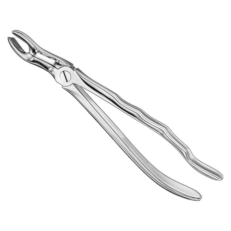 Extracting forceps, anat.