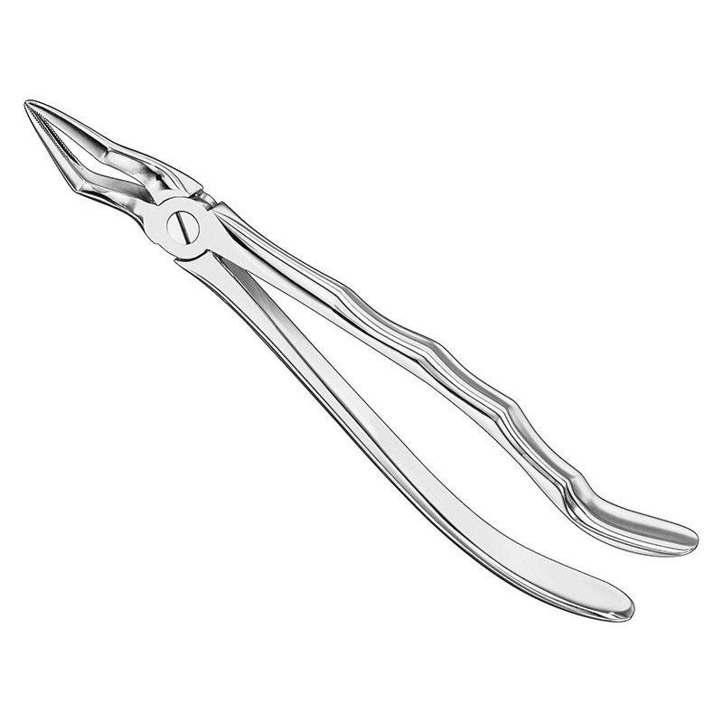 Extracting forceps, anat.