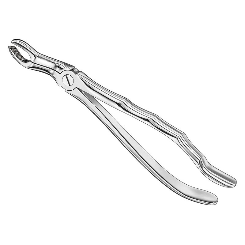 Extracting forceps, anat.