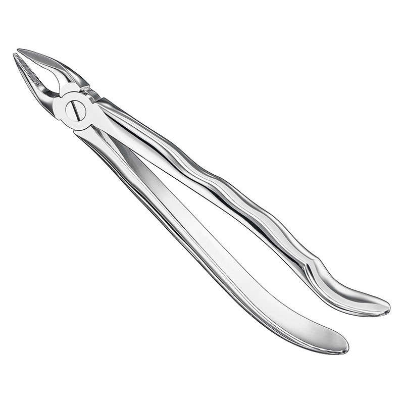 Extracting forceps, anat.